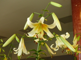 Foto: Dr. Peter Müller